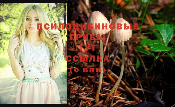 гидропоника Волоколамск
