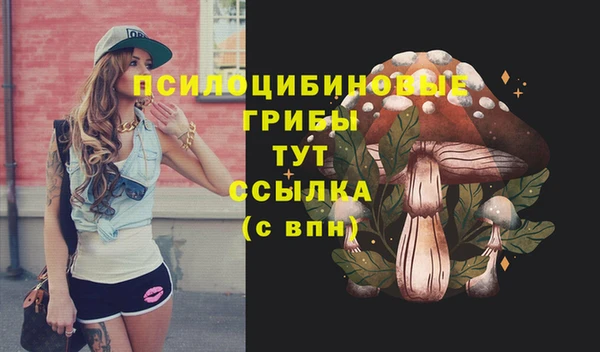 эйфоретик Горняк