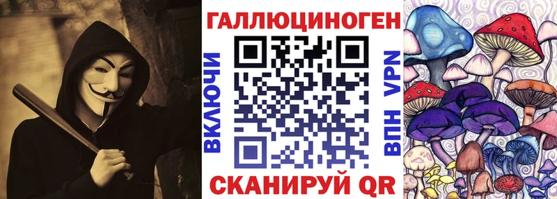 что такое наркотик  Данков  Псилоцибиновые грибы Psilocybe 